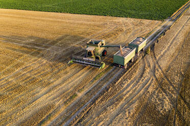 Aerial view of combine harvester on agricultural field during sunset - AMF07283