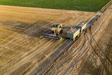 Luftaufnahme eines Mähdreschers auf einem landwirtschaftlichen Feld bei Sonnenuntergang - AMF07283