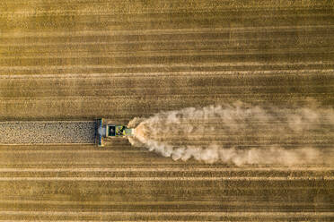 Aerial view of combine harvester on agricultural field during sunset - AMF07285