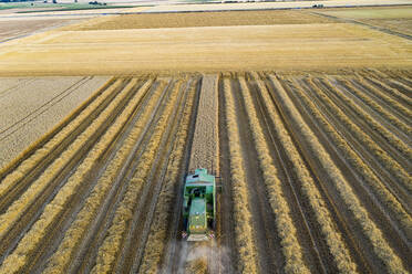 Aerial view of combine harvester on agricultural field during sunset - AMF07286