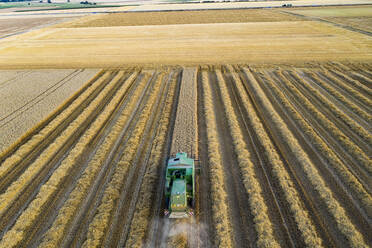 Luftaufnahme eines Mähdreschers auf einem landwirtschaftlichen Feld bei Sonnenuntergang - AMF07286