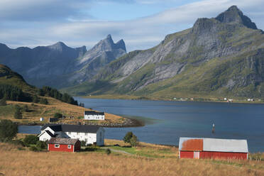 Bauernhöfe auf dem Land, Lofoten, Nordland, Norwegen, Skandinavien, Europa - RHPLF01742