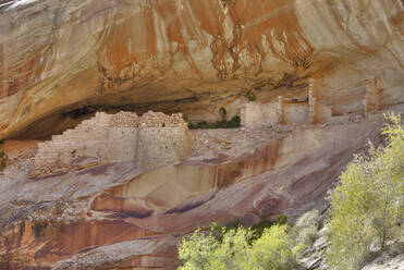 Anasazi-Ruinen, Monarch-Höhle, Butler Wash, bei Bluff, Utah, Vereinigte Staaten von Amerika, Nordamerika - RHPLF01758