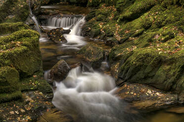 Owengarriff River, Grafschaft Kerry, Munster, Republik Irland, Europa - RHPLF01862