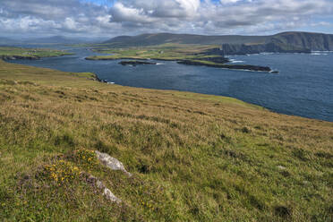 Valentia Island, Grafschaft Kerry, Munster, Republik Irland, Europa - RHPLF01868