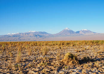 Salar de Atacama, Atacamawüste, Region Antofagasta, Chile, Südamerika - RHPLF01882