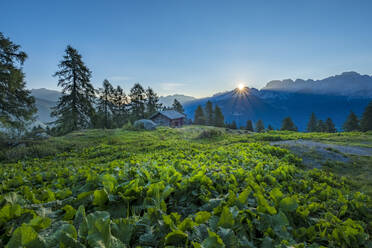 Brenta-Bergkette bei Sonnenaufgang, Rendena-Tal, Trentino, Italien, Europa - RHPLF01899