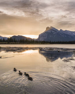 Morgenlandschaft in den Vermilion Lakes, Banff National Park, UNESCO Weltkulturerbe, Kanadische Rockies, Alberta, Kanada, Nordamerika - RHPLF01933