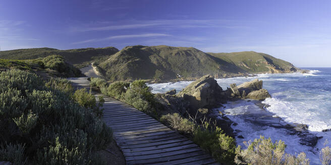 Robberg Nature Reserve, Plettenberg Bay, Westkap, Südafrika, Afrika - RHPLF01972