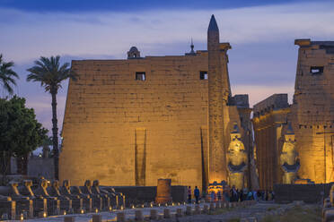 Allee der Sphinxen, Luxor-Tempel, UNESCO-Weltkulturerbe, Luxor, Ägypten, Nordafrika, Afrika - RHPLF02048