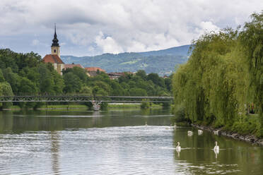 Der Fluss Drau, Maribor, Slowenien, Europa - RHPLF02145