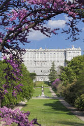 Campo del Moro Park, Königlicher Palast (Palacio Real), Madrid, Spanien, Europa - RHPLF02218