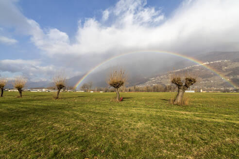 Regenbogen auf kahlen Bäumen, Cosio Valtellino, Provinz Sondrio, Valtellina, Lombardei, Italien, Europa - RHPLF02241