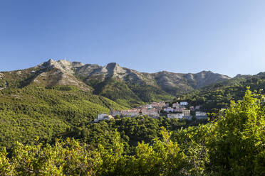 Das Dorf San Piero in Campo am Fuße des Monte Capanne, Insel Elba, Provinz Livorno, Toskana, Italien, Europa - RHPLF02248