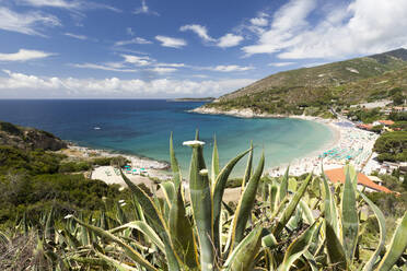 Blick auf das türkisfarbene Meer und den Strand von Cavoli, Marciana, Insel Elba, Provinz Livorno, Toskana, Italien, Europa - RHPLF02251