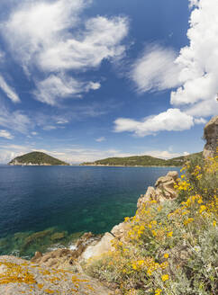 Panoramablick auf blaues Meer, Golf von Procchio, Marciana, Insel Elba, Provinz Livorno, Toskana, Italien, Europa - RHPLF02257