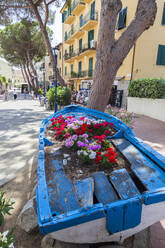 Mit Blumen geschmücktes Holzboot, Marina Di Campo, Insel Elba, Provinz Livorno, Toskana, Italien, Europa - RHPLF02275