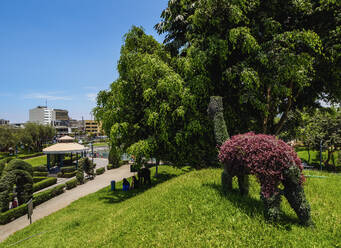 Grünes Lama im Parque de la Amistad (Freundschaftspark), Bezirk Santiago de Surco, Lima, Peru, Südamerika - RHPLF02295