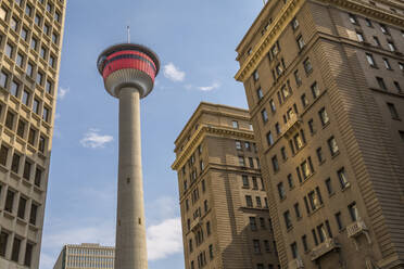 Blick auf den Calgary Tower und nahegelegene Bürogebäude, Downtown Calgary, Alberta, Kanada, Nordamerika - RHPLF02385