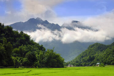 Strohgedeckte Hütten und Reisfelder mit nebligen Bergen im Hintergrund, Mai Chau, Vietnam, Indochina, Südostasien, Asien - RHPLF02423