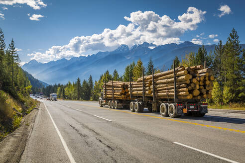 Mit Holz beladener Freightliner auf dem Trans Canada Highway im Glacier National Park, British Columbia, Kanada, Nordamerika - RHPLF02571