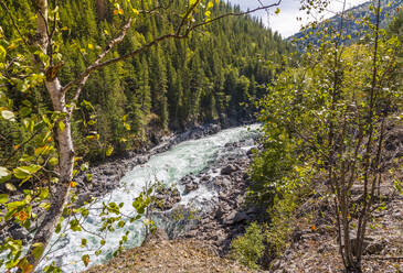 Blick auf weiße Stromschnellen am Clearwater River bei Clearwater, British Columbia, Kanada, Nordamerika - RHPLF02572