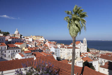 Blick vom Aussichtspunkt Santa Luzia über den Stadtteil Alfama auf den Fluss Tejo, Lissabon, Portugal, Europa - RHPLF02580