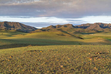 Hügel und Berge, Bezirk Bayandalai, Provinz Südgobi, Mongolei, Zentralasien, Asien - RHPLF02731