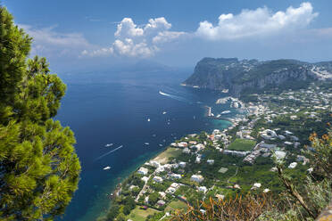 Blick über den Hafen in Richtung Festland, Insel Capri, Italien, Mittelmeer, Europa - RHPLF02791