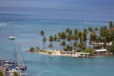 Tall palms on the small beach at Marigot Bay, St. Lucia, Windward Islands, West Indies Caribbean, Central America - RHPLF02838