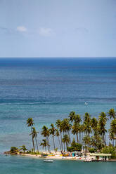 Hohe Palmen am kleinen Strand von Marigot Bay, St. Lucia, Windward Islands, Westindische Inseln, Karibik, Mittelamerika - RHPLF02839