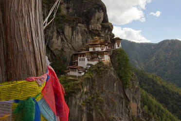 The Taktsang (Tigers Nest) Monastery, Paro, Bhutan, Himalayas, Asia - RHPLF02938