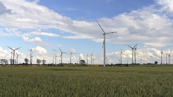 Onshore-Windpark, Deutschland - SCHF00511