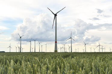 Onshore-Windpark, Deutschland - SCHF00512