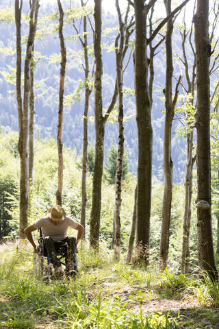 Mann im Rollstuhl im Wald, lizenzfreies Stockfoto