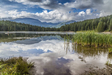Mist on Lost Lake, Ski Hill and surrounding forest, Whistler, British Columbia, Canada, North America - RHPLF02961