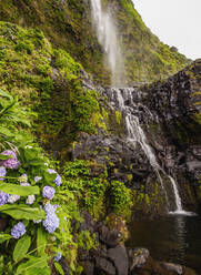 Poco do Bacalhau Waterfall, Faja Grande, Flores Island, Azores, Portugal, Atlantic, Europe - RHPLF03156