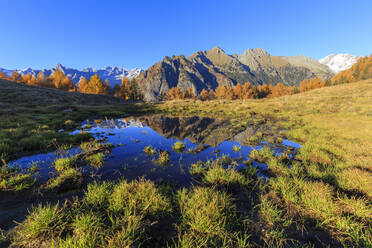 Kleiner Teich auf der Alpe Granda, Valtellina, Lombardei, Italien, Europa - RHPLF03173