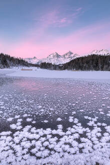 Eiskristalle, Lej da Staz, St. Moritz, Engadin, Kanton Graubünden (Grisons), Schweiz, Europa - RHPLF03246