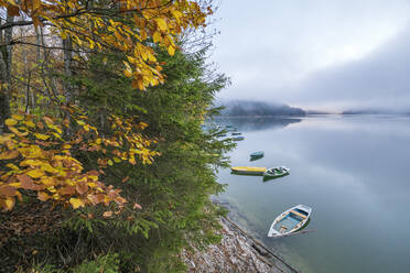 Boote auf dem Sylvensteinsee im Herbst, Landkreis Bad Tolz-Wolfratshausen, Bayern, Deutschland, Europa - RHPLF03350
