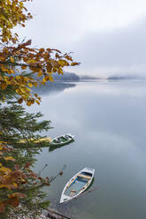 Boote auf dem Sylvensteinsee im Herbst, Landkreis Bad Tolz-Wolfratshausen, Bayern, Deutschland, Europa - RHPLF03354