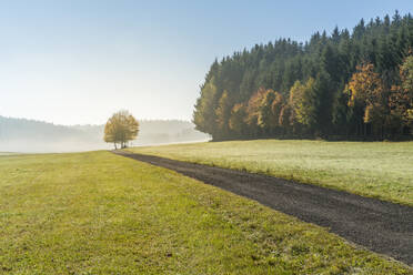 Straße auf dem Lande im Herbst, Heinstetten, Baden-Württemberg, Deutschland, Europa - RHPLF03357