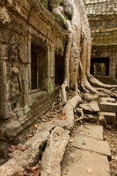 Angkor Wat, UNESCO-Weltkulturerbe, Siem Reap, Kambodscha, Indochina, Südostasien, Asien - RHPLF03369