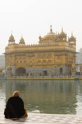 Sikh-Gläubiger des Goldenen Tempels, Amritsar, Punjab, Indien, Asien - RHPLF03374