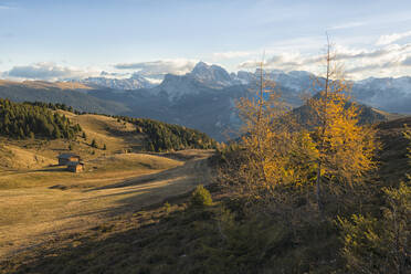 Odle mountain range at sunrise, Alpe di Siusi, Trentino, Italy, Europe - RHPLF03387