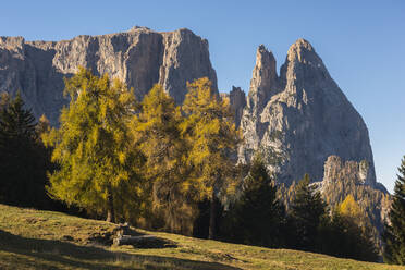 Schlern im Herbst, Seiser Alm, Trentino, Italien, Europa - RHPLF03388