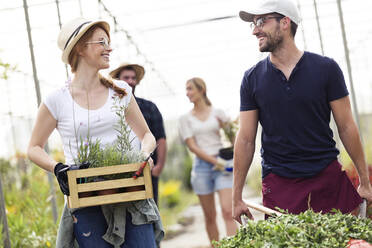 Ein lächelnder Mann und eine Frau transportieren Pflanzen mit einer Schubkarre und einer Holzkiste in einem Gewächshaus - JSRF00552