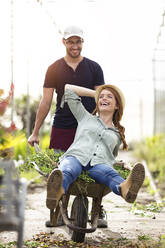 Playful man and woman having fun with a wheelbarrow in a greenhouse - JSRF00554