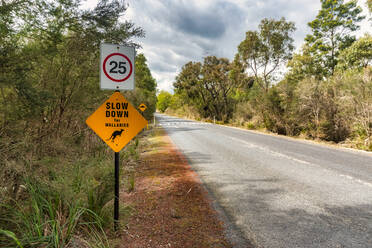 Wallaby überquert Schild Straße gegen Himmel, Victoria, Australien - SMAF01322