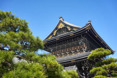 Der Higashi-Honganji-Tempel, Kyoto, Japan, Asien - RHPLF03431